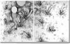 Drawing 7. Large mural size diptych, graphite on Arches hot-pressed paper. Fine Art by Sor� 